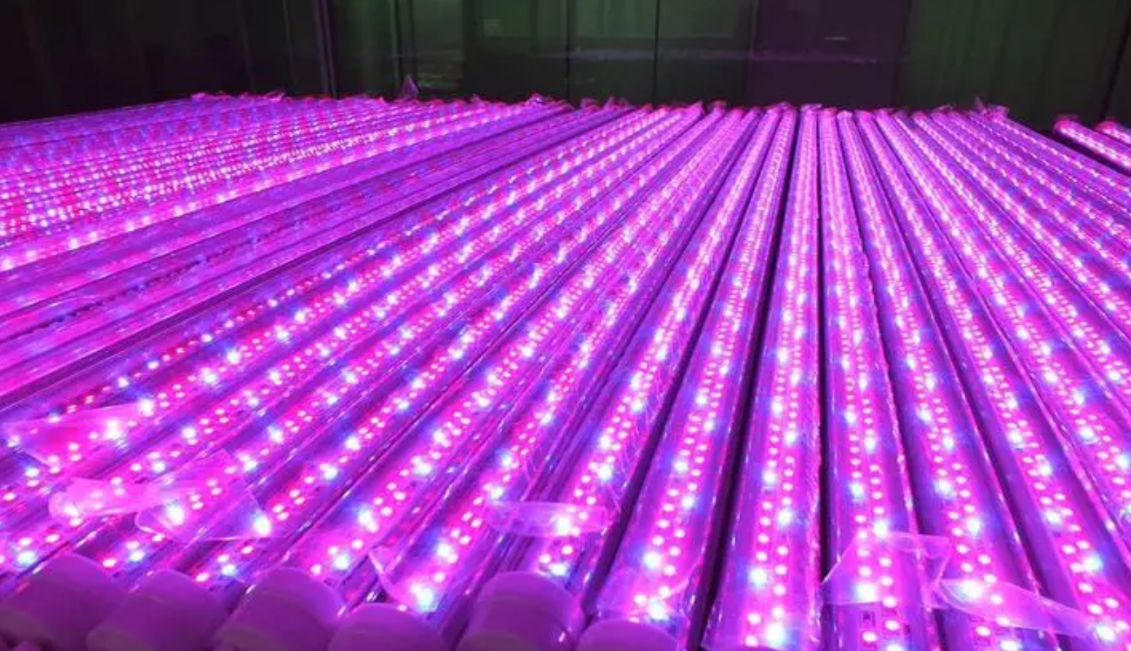 Análisis de mercado de la industria de iluminación LED para plantas de China en 2023